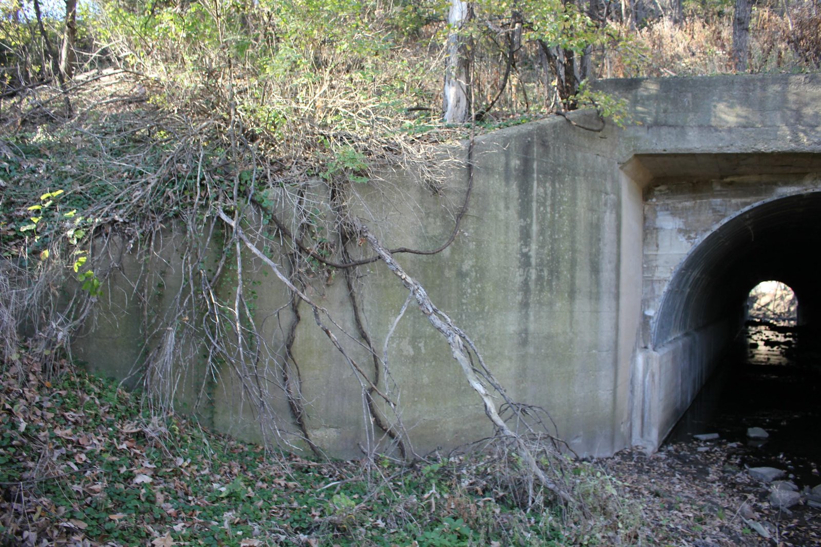 Southwest wing wall